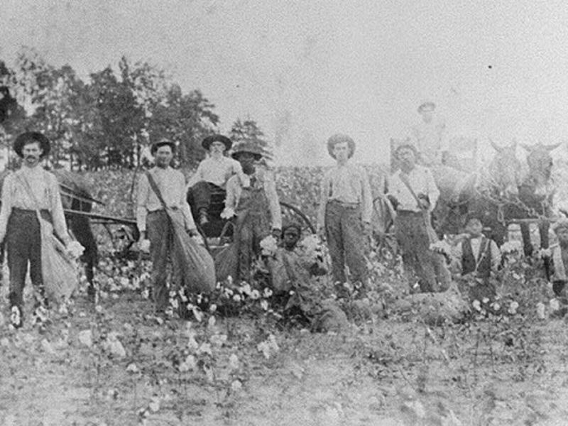 Sharecroppers in · Textbook