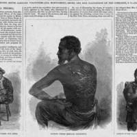 1863-07-04_Typical Negro.jpg